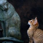 J-L Klein _ M-L Hubert